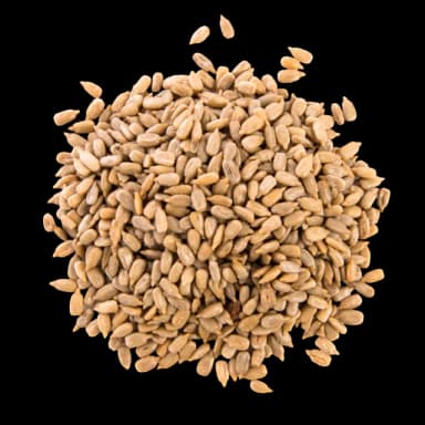 t:{t_opt_packaging_seed}